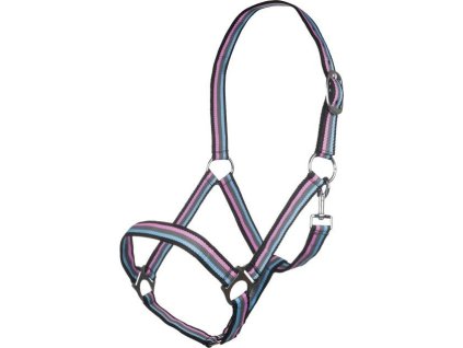 Kantar Linz HKM, brown/grey/pink/blue