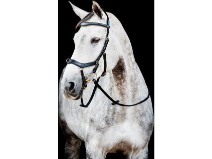 Ogłowie Rambo Micklem Multibridle 2, czarne (Rozmiar COB/FULL)