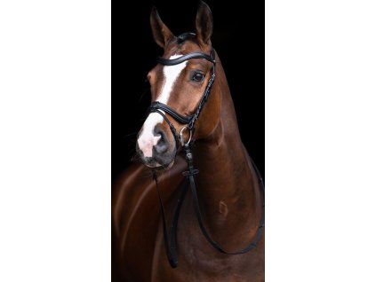 Ogłowie Anatomic HKM, czarne