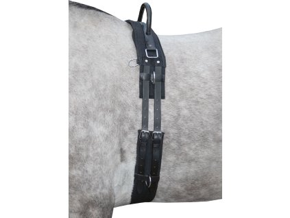 Pas do lonżowania HKM, czarny