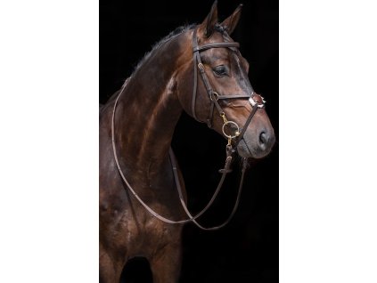 Ogłowie meksykańskie HKM, brązowe