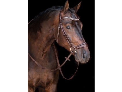 Ogłowie Carolin HKM, brązowe