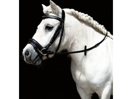 Ogłowie Mini Shetty HKM, czarne