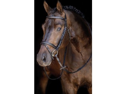 Ogłowie Economic HKM, czarne