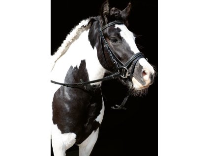 Ogłowie Lou HKM, czarne