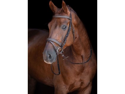 Ogłowie Lou HKM, brązowe