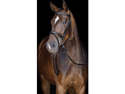 Ogłowie Jana HKM, czarne