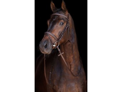 Ogłowie Jana HKM, brązowe