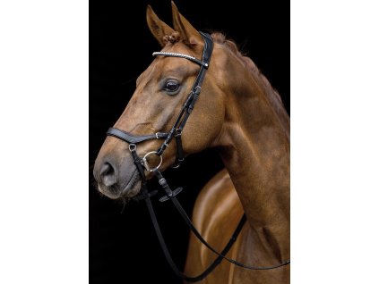 Ogłowie Pro Anatomic HKM, czarne