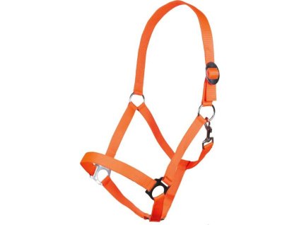 Kantar Stars Economy Softice HKM, neon orange