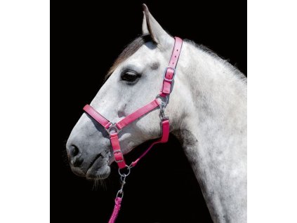 Wyściełany Kantar Star Softice HKM, neon pink