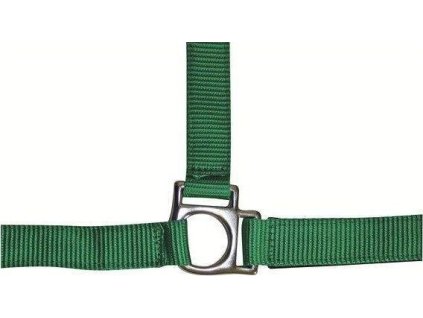 Wyściełany Kantar Stars HKM, bright green