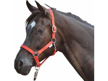 Wyściełany Kantar Stars HKM, red