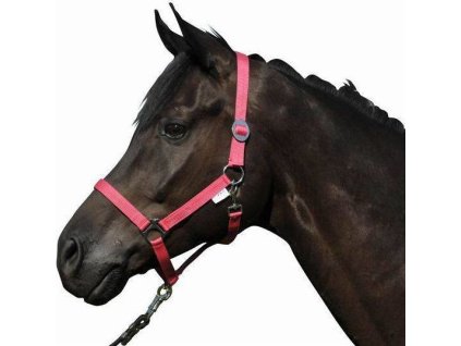 Kantar Stars Economy HKM, red