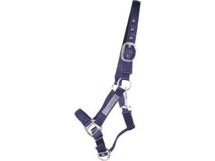 Kantar Safety QHP, blue