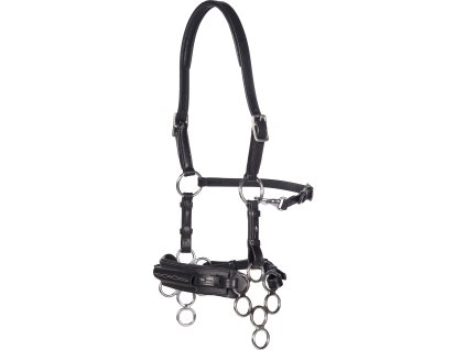 Ogłowie z hackamore Aram F.R.A., czarne