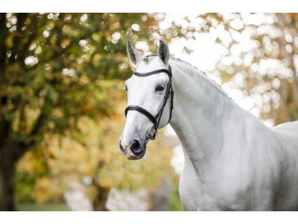 Ogłowie Cavesson Horseware, czarne (Rozmiar COB)