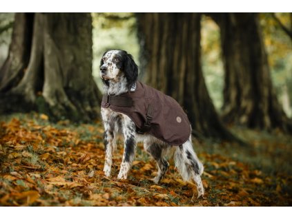 Derka dla psa Newmarket Heritage Horseware, 0 g, brown/witney navy