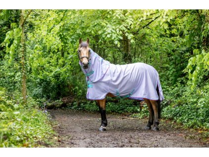 Derka przeciw owadom Amigo Pony, z kapturem, lavender/capri, raspberry