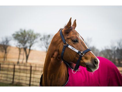 Kantar bezpieczny Horseware, navy (Rozmiar COB)