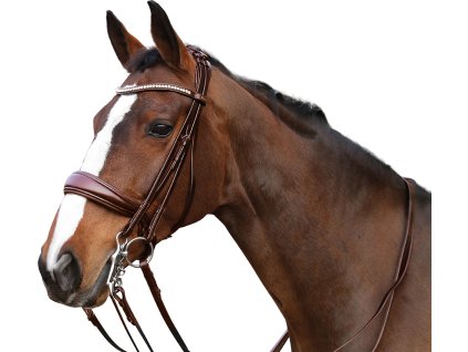 Ogłowie Ergo HorseGuard, brązowe