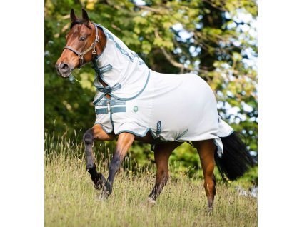 Derka przeciw owadom AmEco Amigo, z kapturem, silver/teal