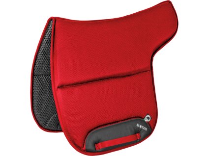 Czaprak Sympanova Burioni, australijski, red