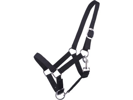 Kantar dla roczniaków QHP, czarny