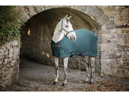 Derka chłodząca Amigo Jersey, dynasty green/navy & silver