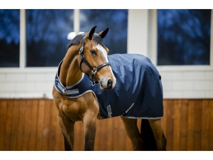 Derka do Karuzeli Amigo, 100 g, navy/titanium grey