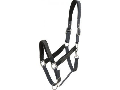 Kantar Vardia HorseGuard, asphalt