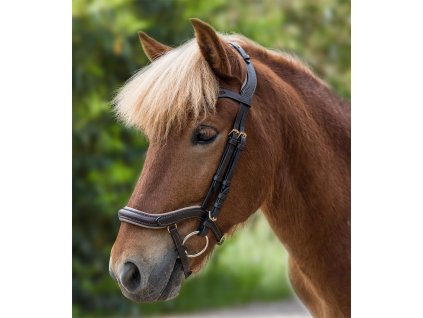 Ogłowie anatomiczne Island Waldhausen, brown/brass