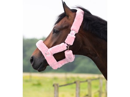 Kantar Alaska QHP, pink