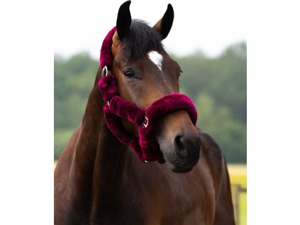 Ogłowie Alaska QHP, bordowo-czarne