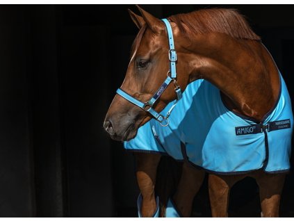 Kantar Amigo, delphinium blue/navy