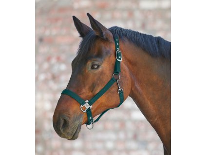 Kantar Gloomy Waldhausen, fir green