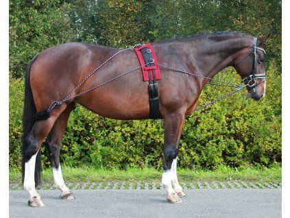 d593a6a748ecec84996eb13dce215d4f