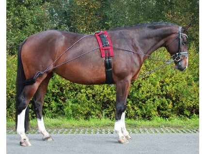 Uprząż do lonżowania Multi-Way QHP, czarny