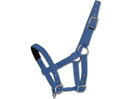 Kantar Mini-Shetty Waldhausen, azure blue