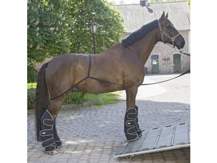 Lina do załadunku do przyczepy Waldhausen, czarna