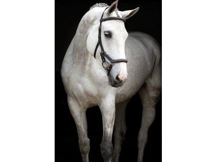 Ogłowie Rambo Micklem Competition Deluxe, dark havana