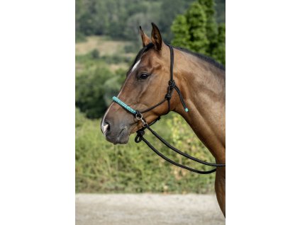 Halter z wodzami USG, czarny