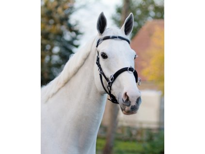 Skórzany Kawecan/Ogłowie QHP, czarny