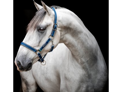 Kantar Amigo, navy/silver