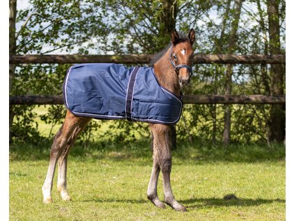 Derka padokowa QHP, dla źrebiąt, regulowany rozmiar, 100 g, navy