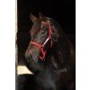 Kantar bezpieczny Horseware, red (Rozmiar COB)