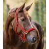 Kantar Perlon Satin Waldhausen, red (Rozmiar PONY)