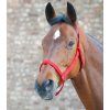 Kantar Field Waldhausen, red (Rozmiar PONY)