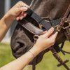 Kantar Tack up QHP, czarny (Rozmiar FULL)