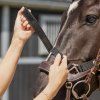 Kantar Tack up QHP, czarny (Rozmiar FULL)